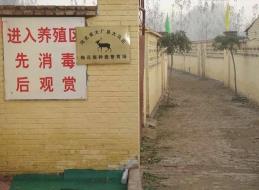 广春鹿业